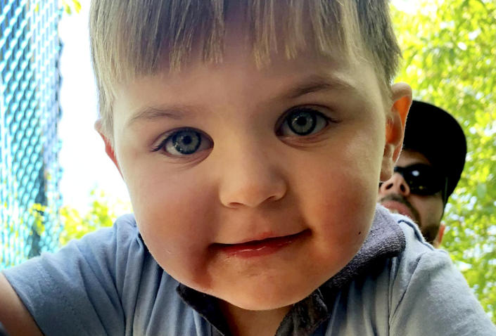 Theo Emm, three, died at his home in Wiltshire after feeling a 