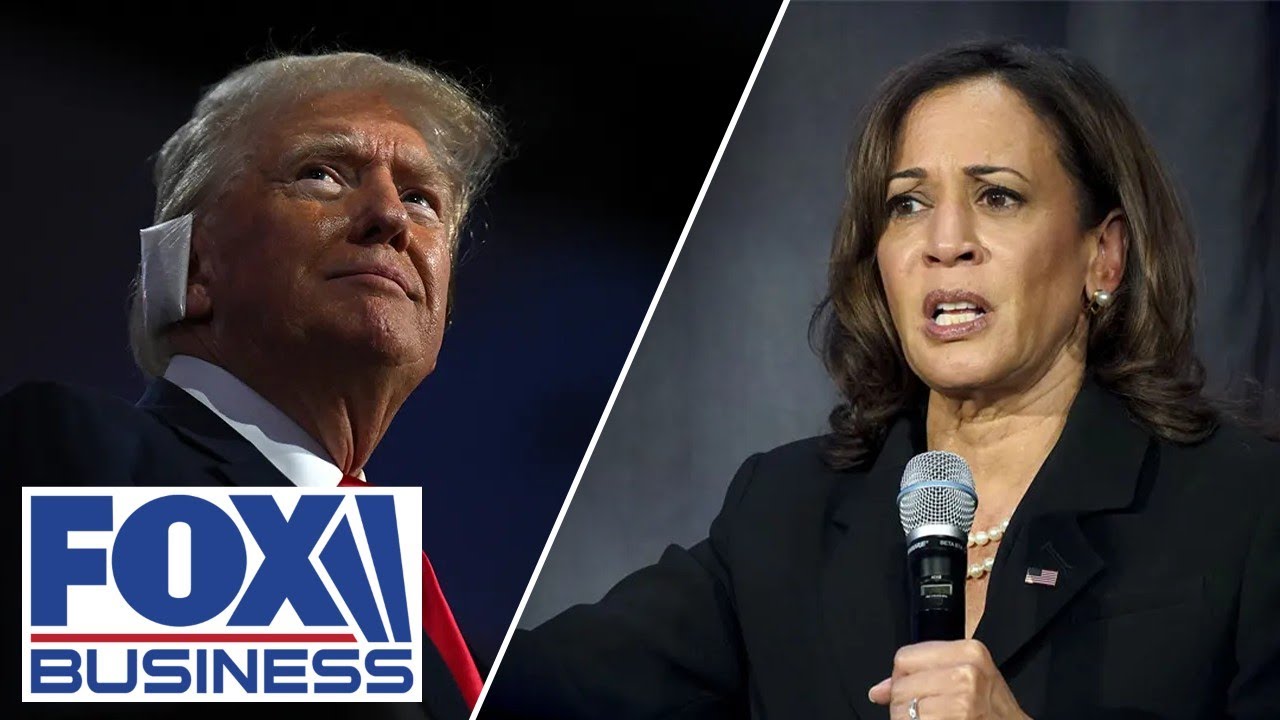 Gen Zer says Kamala Harris was ‘disconnected’ from larger voter issues