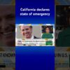 California Gov. Newsom declares state of emergency over severe bird flu cases #shorts