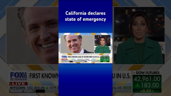 California Gov. Newsom declares state of emergency over severe bird flu cases #shorts