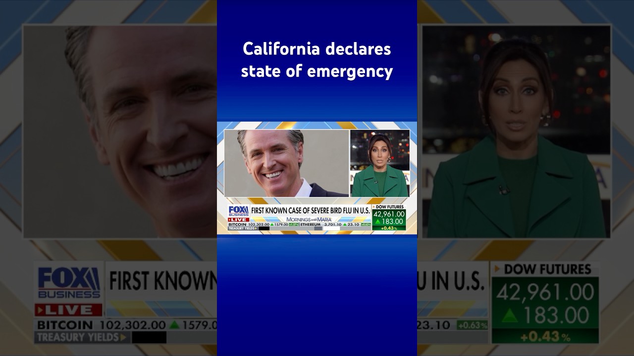 California Gov. Newsom declares state of emergency over severe bird flu cases #shorts