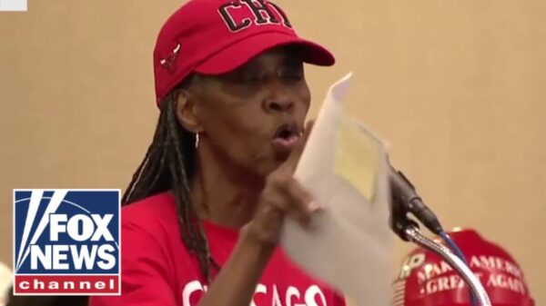 WINDY CITY WOES: Chicago City Council meeting erupts into ‘chaos’