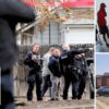 Police arrest more suspected migrant gang members over brutal robbery