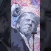 Conservative artist vividly illustrates why he supports Trump