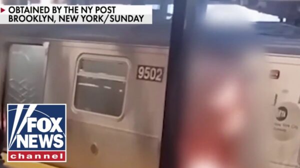 ‘DANIEL PENNY FACTOR’: Critics speculate why bystanders failed to save woman on subway