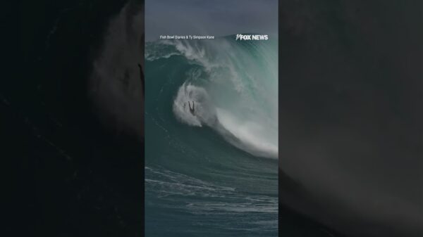 TERRIFYING TUMBLE: Pro surfer wipes out on iconic wave in Hawaii.