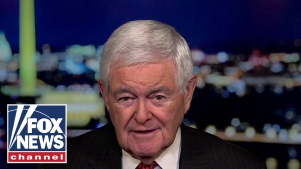 We have to assume Biden has some ‘nutcase staffers’ doing dangerous things, says Newt Gingrich