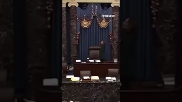 Vice President Kamala Harris appears to flub the Pledge of Allegiance