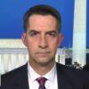 Sen. Tom Cotton: Sometimes ‘bad apples’ slip through the system