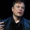 Elon Musk: We’re in deep trouble if Trump loses