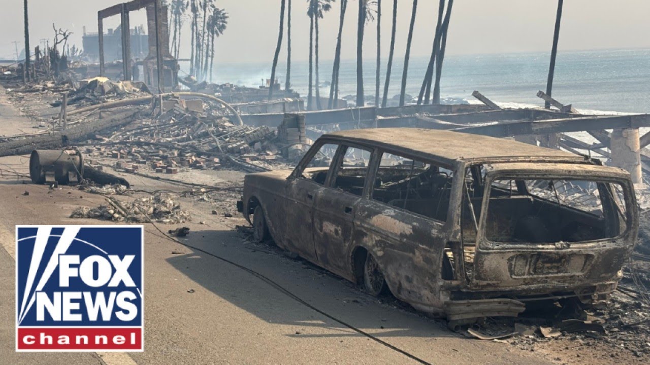 Aerial footage reveals devastation in LA neighborhoods