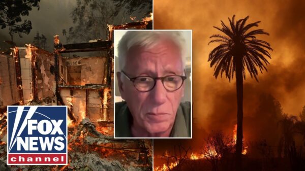 James Woods rips ‘blithering idiot’ Newsom after wildfire ravages neighborhood