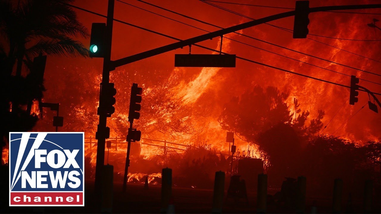 Dean Cain slams LA wildfires as ‘perfect storm’ of mismanagement and leadership failure