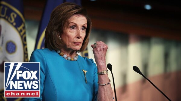 ‘Take a seat’: Dems reportedly fed up with Pelosi