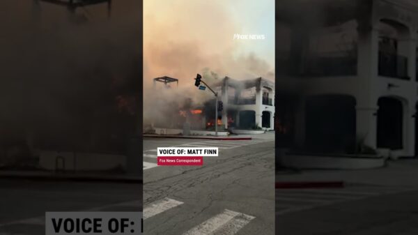 Wildfires rage on California’s famous Sunset Boulevard. Matt Finn reports from the devastation.