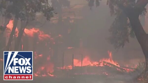 FEMA administrator: California wildfires are ‘truly tragic’