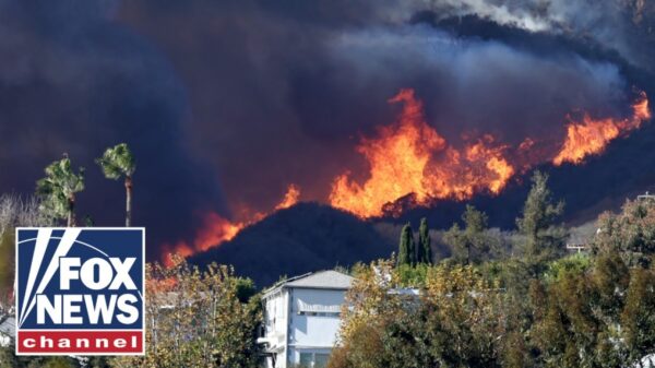 CA fires will be ‘most expensive’ in American history, lawmaker says