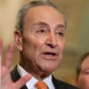 Schumer reportedly directed Dems to pressure Trump nominees: ‘SHAMEFUL’