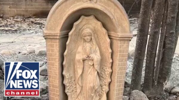 ‘HEALING’: Statue of Mary survives California wildfires in ‘perfect condition’