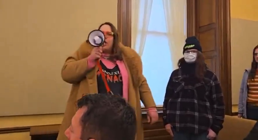 Rep. Finke (D) just sent an angry mob to storm MN’s House to block Republican control